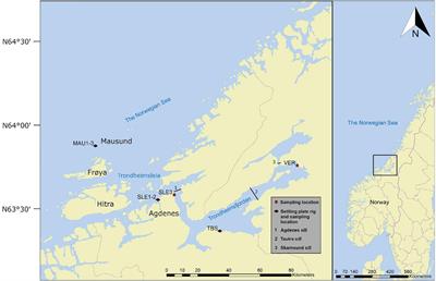 Occurrence and Habitat Characteristics of Aurelia sp. Polyps in a High-Latitude Fjord